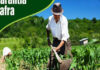 Articulação do Governo garante inclusão de mais 39.182 mil famílias de agricultores no Garantia Safra 2018-19