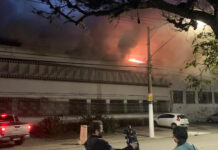 Incêndio destrói galpão da Cinemateca Brasileira com 2 mil cópias de filmes
