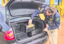 PRF apreende 418 Kg de maconha em Naviraí (MS) — Polícia Rodoviária Federal Imagem do WhatsApp de 2024-03-26 à(s) 08.01.30_f90e7fef.jpg