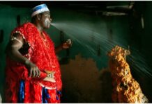 Salvador recebe exposição internacional sobre memória africana – Secretaria de Comunicação Salvador recebe exposição internacional sobre memória africana – Secretaria de Comunicação