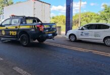 Em Floriano (PI), PRF apreende adolescente de 14 anos com Skunk e Cachaça na Bagagem — Polícia Rodoviária Federal WhatsApp Image 2024-05-21 at 16.21.18 (1).jpeg