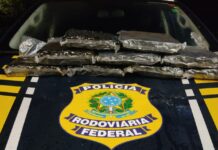 PRF apreende maconha em ônibus em Três Lagoas (MS) — Polícia Rodoviária Federal WhatsApp Image 2024-05-27 at 12.21.16.jpeg