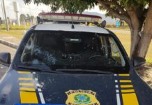 PRF apreende “Jammer” e placas adulteradas com passageira de ônibus na BR-381 — Polícia Rodoviária Federal WhatsApp Image 2024-07-10 at 19.06.24.jpeg