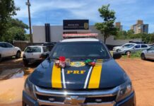 Em Palmas/TO, PRF apreende drogas dentro de veículo que transitava na BR-010 — Polícia Rodoviária Federal Em Palmas/TO, PRF apreende drogas dentro de veículo que transitava na BR-010