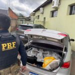 PRF apreende 310,1 kg de maconha em Batayporã (MS)