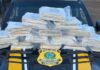 PRF em Rondônia apreende quase 33 kg de maconha em ônibus — Polícia Rodoviária Federal ocorrência 33 kg.jpeg