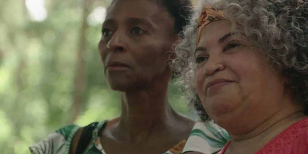 TV Brasil: documentários mostram luta feminina e violência doméstica TV Brasil: documentários mostram luta feminina e violência doméstica