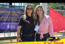Movimento em prol da conscientização pelo fim da violência contra a mulher, S.A.Jesus