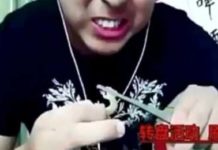 “Youtuber” morre após comer lagartixas e insetos durante live