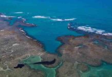 Estudo aponta mancha gigante e possível origem do óleo que atinge o Nordeste.