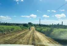 PREFEITURA REALIZA MANUTENÇÃO DE ESTRADAS RURAIS EM DOM MACEDO COSTA
