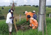 PROJETO AMBIENTAL ESTÁ ARBORIZANDO COMPLETAMENTE A VIA QUE DÁ ACESSO AO MUNICÍPIO!