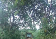 Camunidade da Penha contemplada com serviços de recuperação da estrada vicinal, em MARAGOJIPE