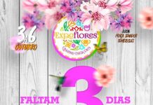 Faltam apenas 3 dias para a Expoflores, em Cruz das Almas