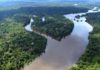 Taxa de desmatamento pode ter aumento de 26% na Amazônia