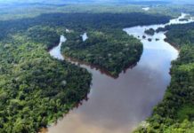 Taxa de desmatamento pode ter aumento de 26% na Amazônia