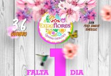 Confira a programação completa da EXPOFLORES, em Cruz das Almas