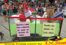Diversidade de cores, alas sincronizadas robusteceram a temática em prol da preservação ambiental, no desfile de 7 de setembro, em D.M. COSTA