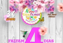 Contagem regressiva: faltam 4 dias para a Expoflores, em Cruz das Almas