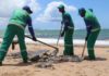 Mais de 26 toneladas de óleo já foram retiradas em praias de Salvador