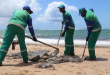 Mais de 26 toneladas de óleo já foram retiradas em praias de Salvador