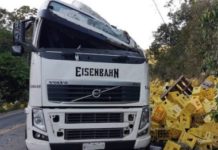 Santo Antônio de Jesus: Carreta carregada de cerveja tomba na BR-101 e é saqueada