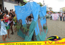 Preservação ambiental foi a temática para o grande desfile cívico de 7 de setembro, em D.M. Costa