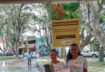 Castro Alves: ex-alunos do curso ‘Derivados de Banana’ expõem produtos em feira empreendedora de Cruz das Almas