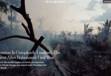 New York Times diz ser a Amazônia, no governo Bolsonaro, ‘terra sem lei’