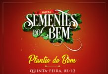 Sementes do bem: Prefeitura realiza plantio de mudas nas escolas e espaços SCFV