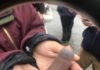 Milhares de ‘peixes-pênis’ são encontrados em praia da Califórnia após tempestade