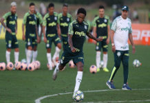 Novo coordenador científico vê Luxemburgo “à frente do tempo” e ajustado ao DNA do Palmeiras