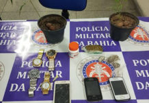 Paulo Afonso: Polícia prende suspeito de tráfico com dois pés de maconha em casa