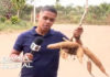 Fabricação de tijolos ecológicos em S.A.Jesus, será motivo de enfoque do Bahia Rural, pela Tv Bahia, nesse domingo, 29