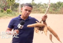 Fabricação de tijolos ecológicos em S.A.Jesus, será motivo de enfoque do Bahia Rural, pela Tv Bahia, nesse domingo, 29