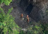 Desmatamento na Amazônia é maior em territórios com povos indígenas isolados