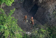Desmatamento na Amazônia é maior em territórios com povos indígenas isolados