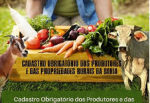 Prefeitura alerta sobre prazo do Cadastro dos Produtores e Propriedades Rurais, em D.M. Costa