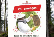 Prefeitura de Dom Macedo Costa convida inscritos para o Curso de Apicultura Básica