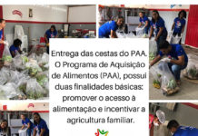 Realizada entrega de cestas básica do PAA, em Dom Macedo Costa