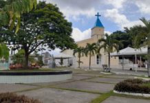 Dom Macedo Costa comemora mais uma data de emancipação política