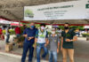 DIA DO MEIO AMBIENTE: Prefeitura e parceiros distribuem mudas nativas e frutíferas