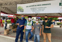 DIA DO MEIO AMBIENTE: Prefeitura e parceiros distribuem mudas nativas e frutíferas