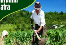 Articulação do Governo garante inclusão de mais 39.182 mil famílias de agricultores no Garantia Safra 2018-19