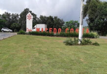 Prefeitura, através da Secretaria de Agricultura e Meio Ambiente, conclui ações de revitalização do entroncamento em Dom Macedo Costa