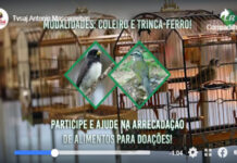 ASPSAJ realiza III Torneio de Amizade Beneficente Online, em Santo Antônio de Jesus
