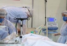 Covid-19: Brasil registra mais de 24 mil novos casos em 24h; óbitos superam 72 mil