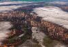Ministério do Meio Ambiente quer reduzir meta oficial de preservação da Amazônia