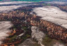 Ministério do Meio Ambiente quer reduzir meta oficial de preservação da Amazônia