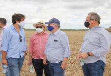 Com 17,7 mil hectares cultivados, Agrovale é inspiração para Polo Agroindustrial do São Francisco